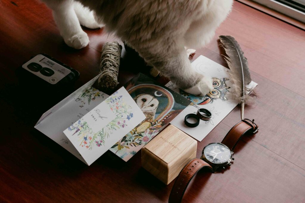 layflats with their favourite cat 