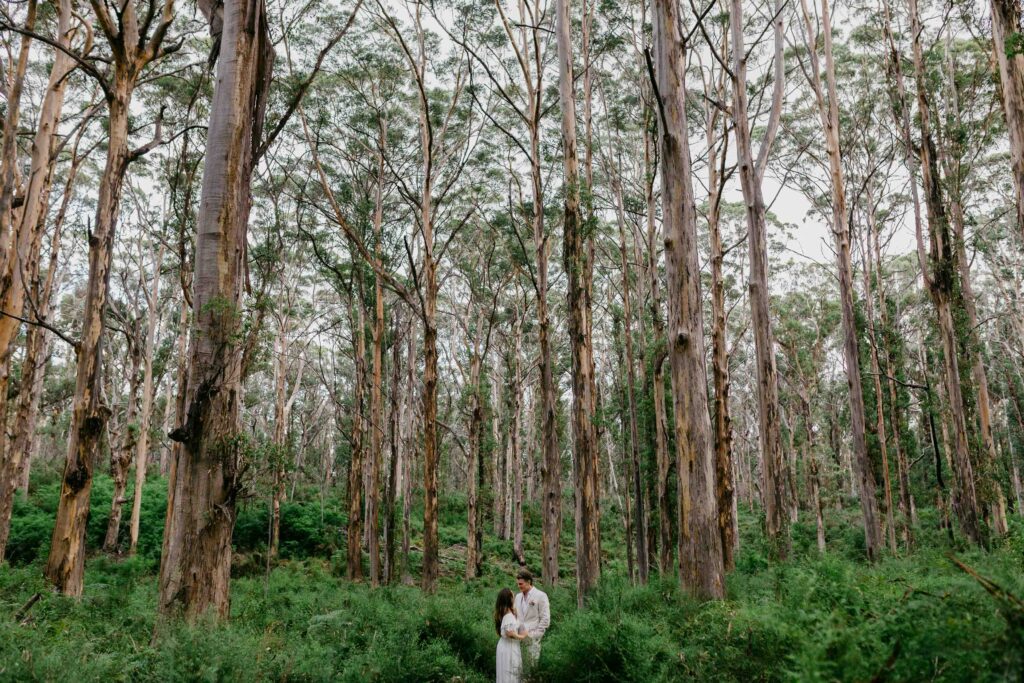Jake and Hannah in the middle of the Boranup forrest for their location shoot for their destination elopement in Margaret River