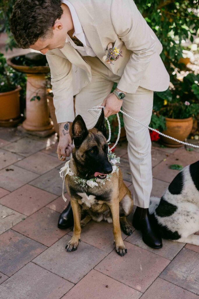 Bride standing with Eevee and Lola during the wedding