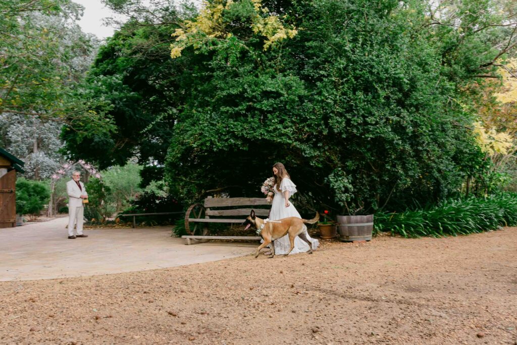 Bride and groom spending time with their dogs at the farm stay