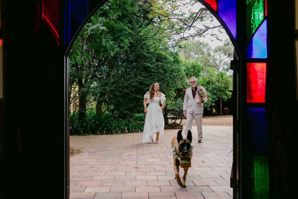 Newlyweds walking with their dogs after their elopement ceremony