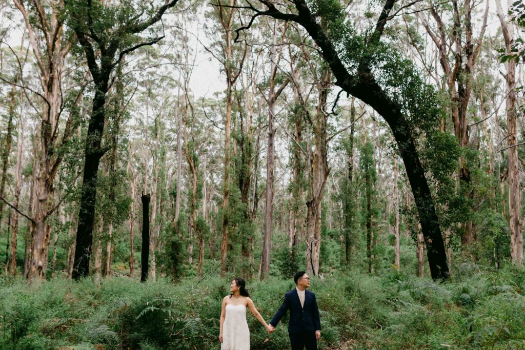 artisti wide agngel photo with couple holding hands during their Perth pre-wedding photoshoot.
