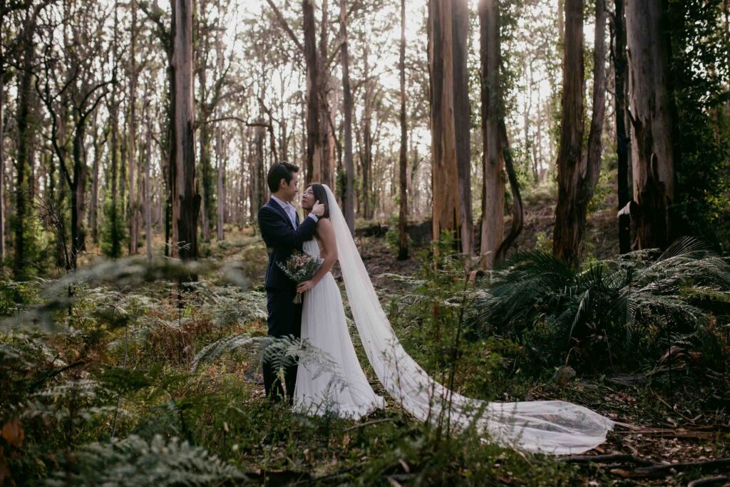Boranup Forest pre-wedding portrait of Kenneth and Flora among the karri trees