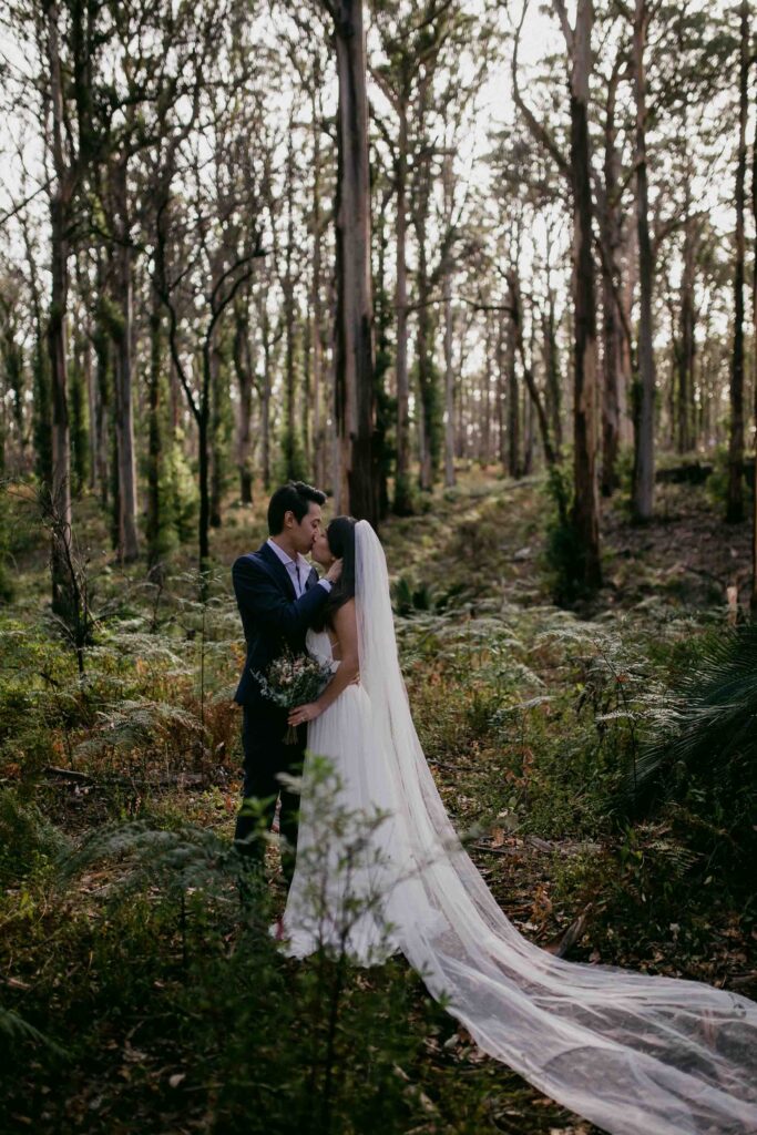 Wide Boranup Forest pre-wedding photograph beneath tall karri trees