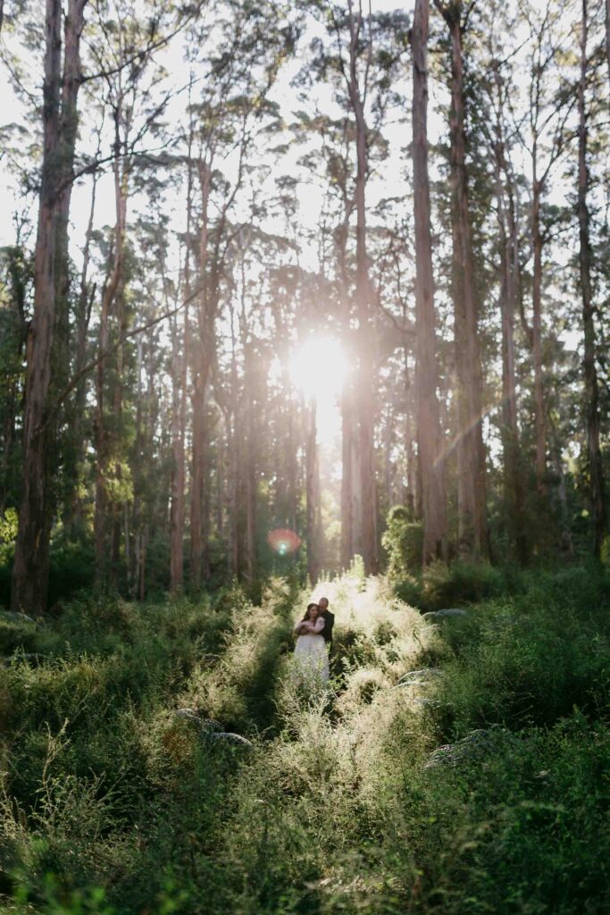 Bride and groom portrait at Boranup forrest in Margaret River