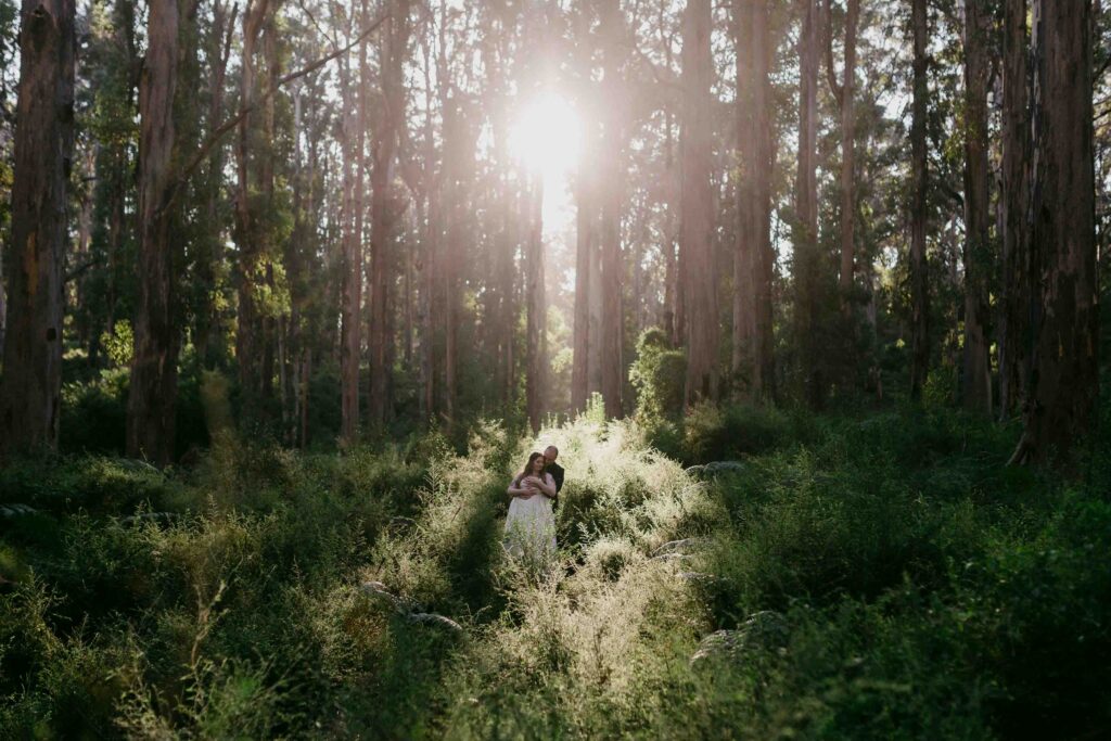 Romantic wedding portrait in the light of Boranup Forest Margaret River