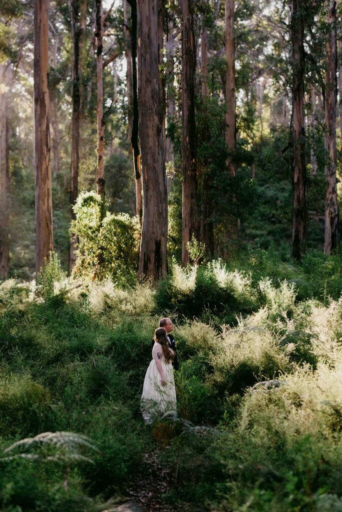 Bride and groom portrait at Boranup forrest in Margaret River