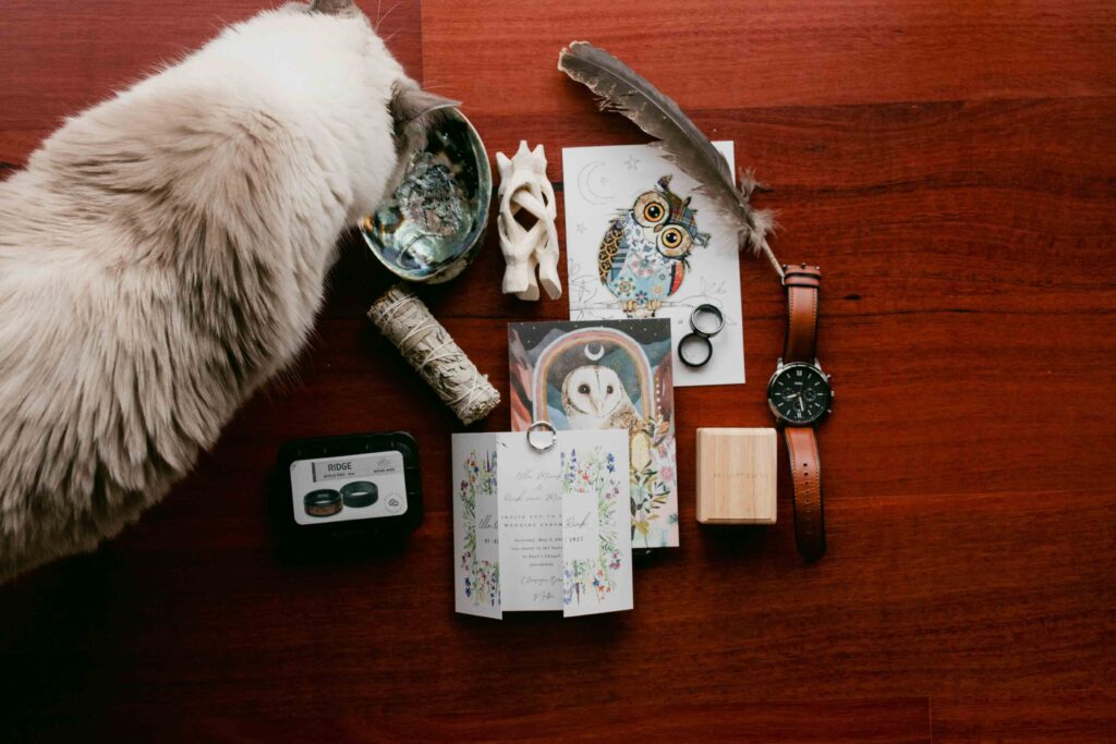 wedding flat lay with cat

