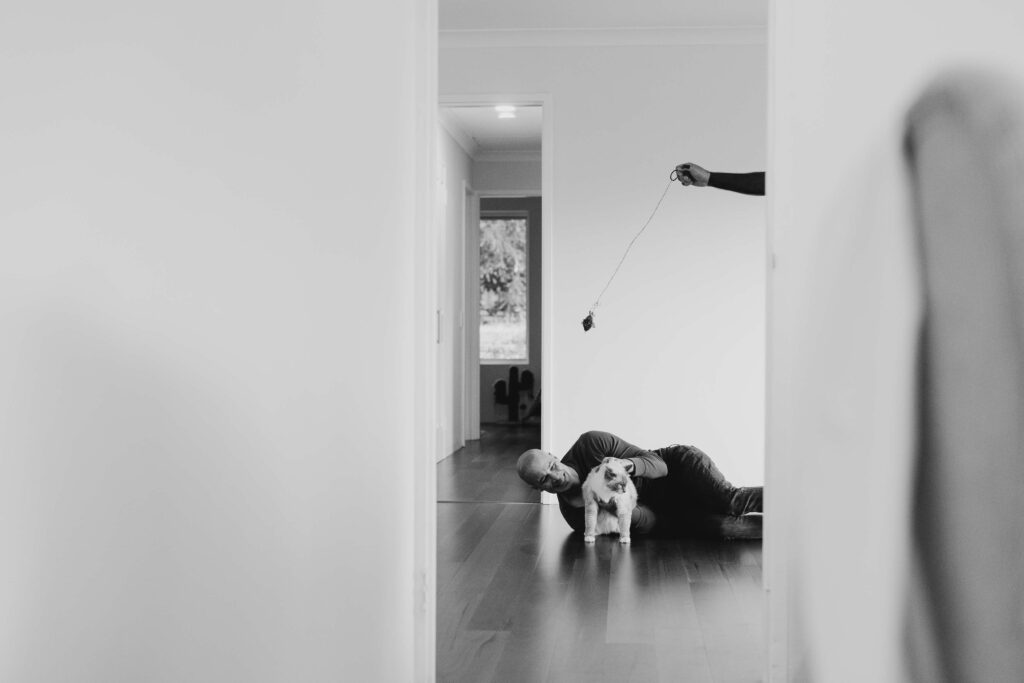 ride and groom including their cats in their wedding-morning photographs